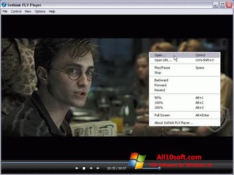 Posnetek zaslona FLV Player Windows 10