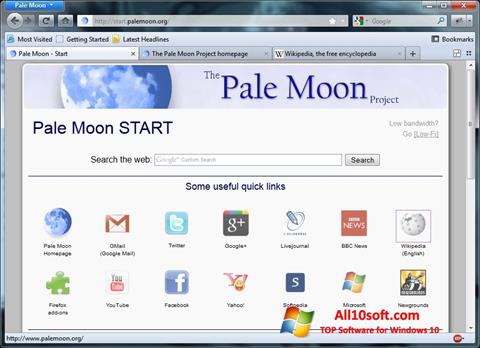 Posnetek zaslona Pale Moon Windows 10
