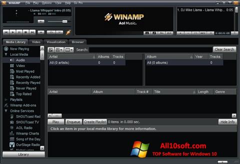 Posnetek zaslona Winamp Pro Windows 10